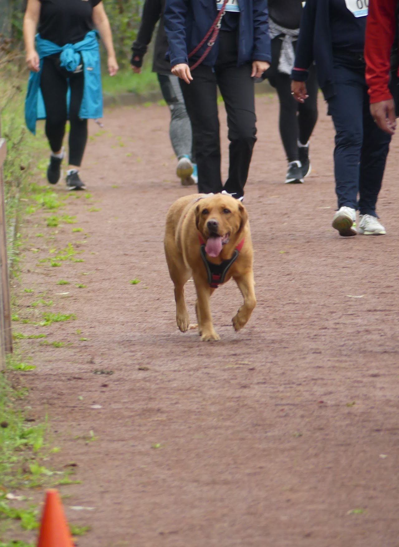 Bild vom 13. Benefizlauf im Jahr 2022. Dies ist das 578. Bild.